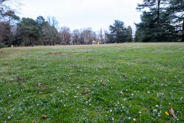 Parc du Vivier de Merignac (2).